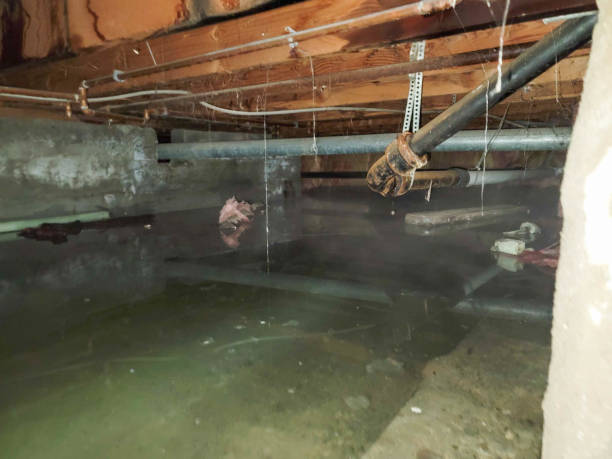 Best Commercial water damage restoration  in Suquamish, WA