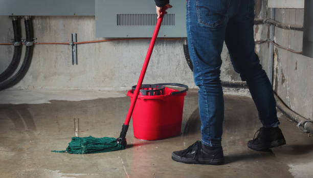 Best Fire Damage Restoration  in Suquamish, WA