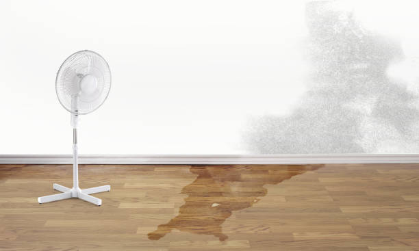 Best Commercial water damage restoration  in Suquamish, WA