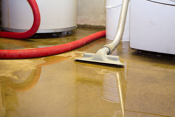 Best Flood restoration services  in Suquamish, WA