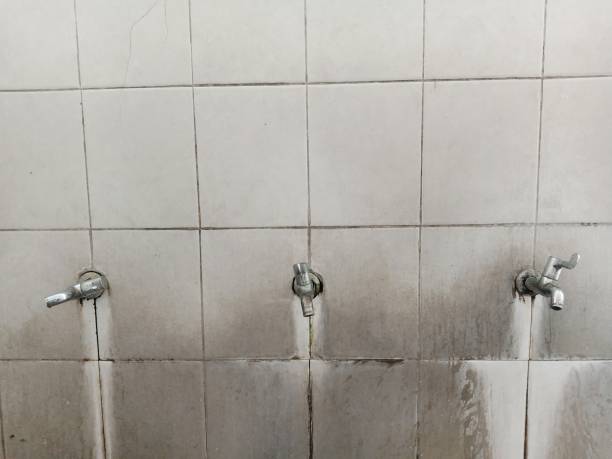 Best Professional water damage repair  in Suquamish, WA