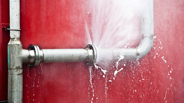 Best Local water damage restoration  in Suquamish, WA